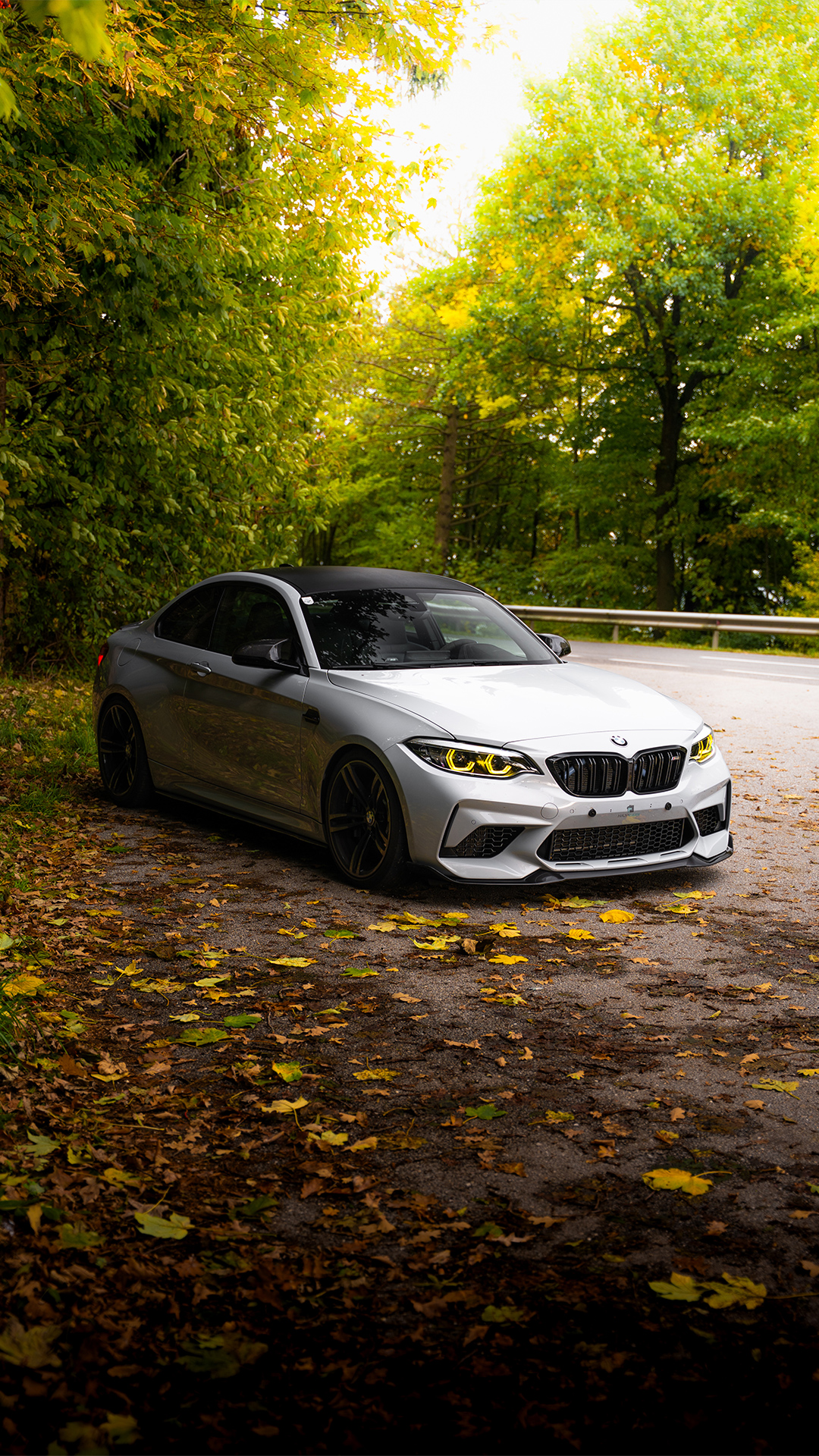 BMW M2 F87 Rolling shot through forest section