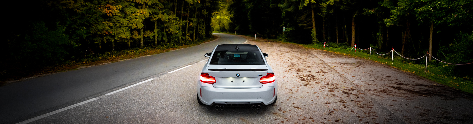 BMW M2 F87 Rolling shot through forest section BMW M2 F87 Rolling shot through forest section